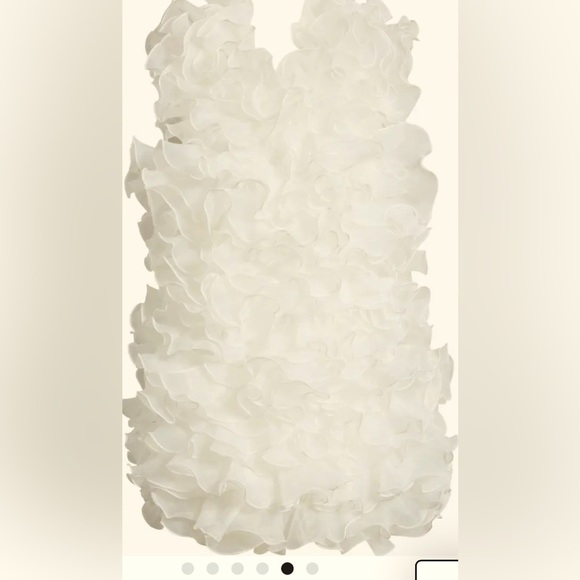 Azalea Wang Tulle dress - Picture 1 of 6
